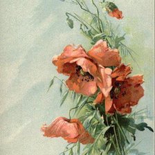 Схема вышивки «Red Poppies»