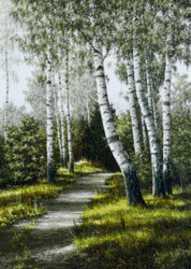 Берёзовая роща - предпросмотр