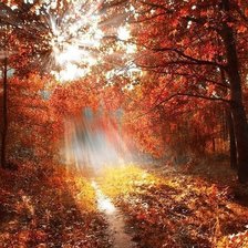 Схема вышивки «Осень»