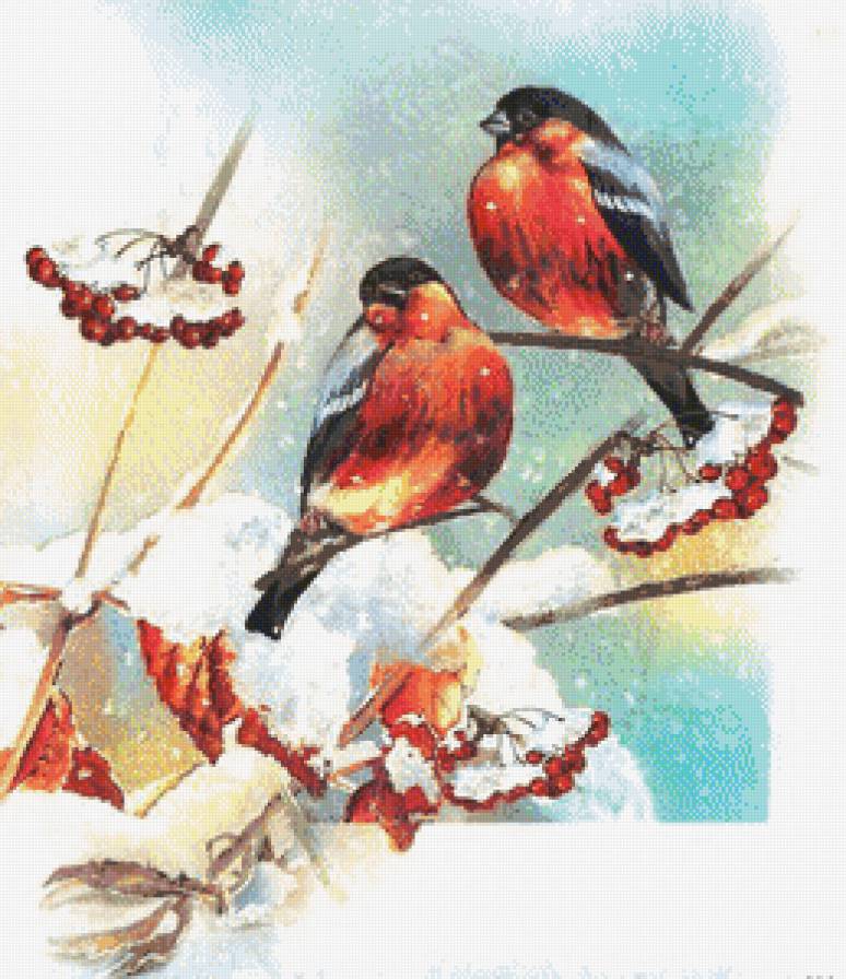 Снегири и рябина - птички, птицы, зима, рябина, снегирь, снегири, ягодки - предпросмотр