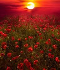 Схема вышивки «Алый закат»