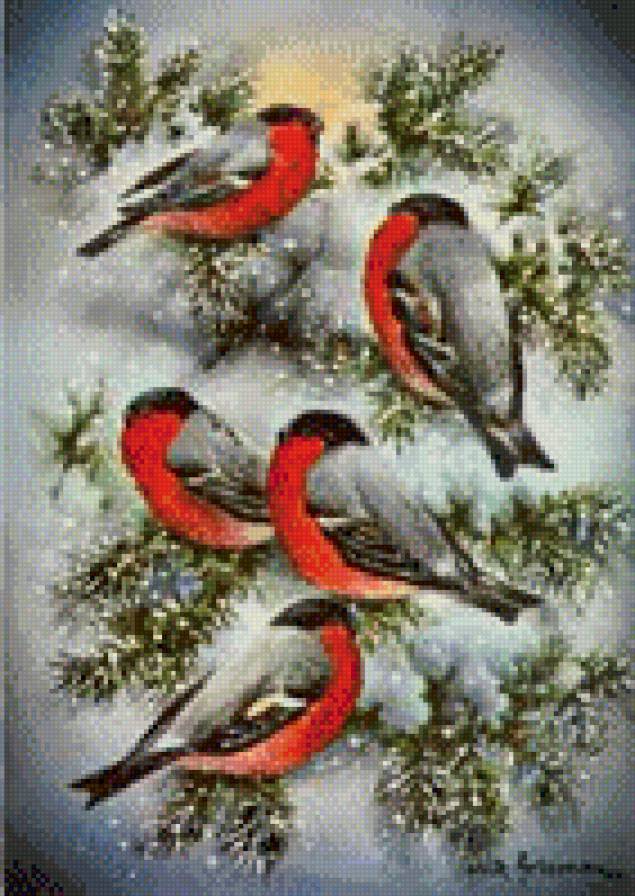 Снегири - зима, птицы - предпросмотр