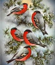 Схема вышивки «Снегири»