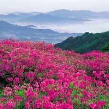 Горный пейзаж