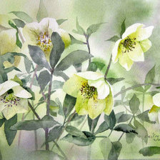 Японская цветочная акварель