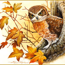 Схема вышивки «Осенняя сова»
