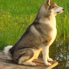 Схема вышивки «Грей»