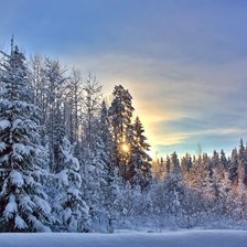 Схема вышивки «Зимушка»