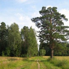 Схема вышивки «Пейзаж»