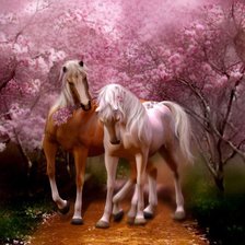 Схема вышивки «Он и она»