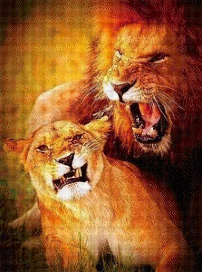 Лев и львица - лев, львица, пара, семья - предпросмотр