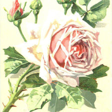 Схема вышивки «With Loving Wishes For A Bright And Happy Birthday»