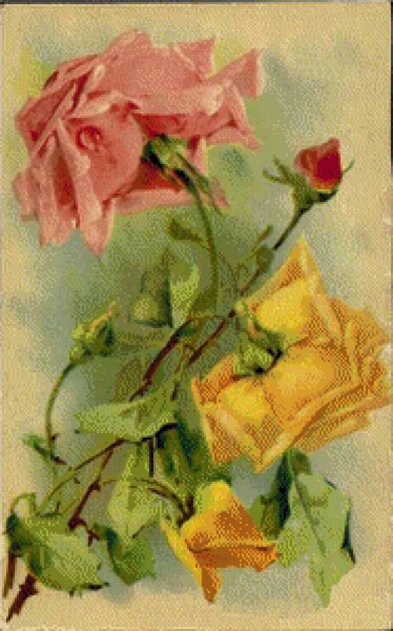 Roses - предпросмотр