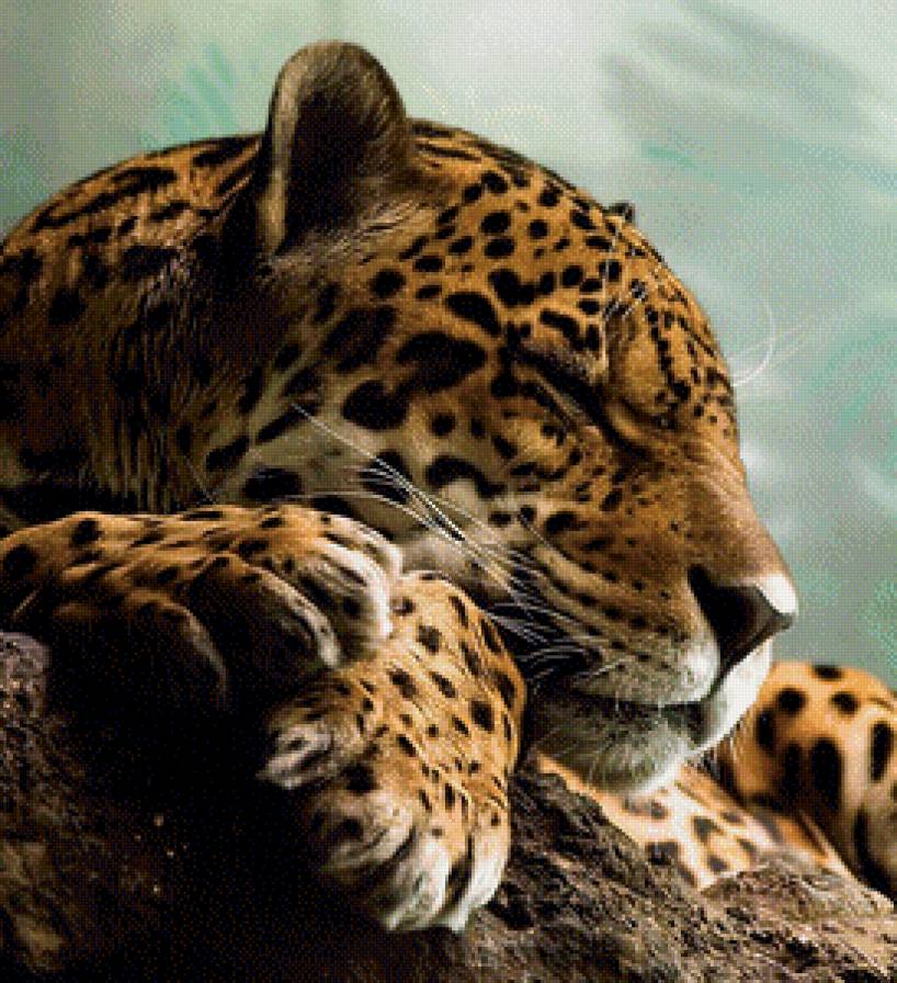 большая кошка - большая кошка - предпросмотр