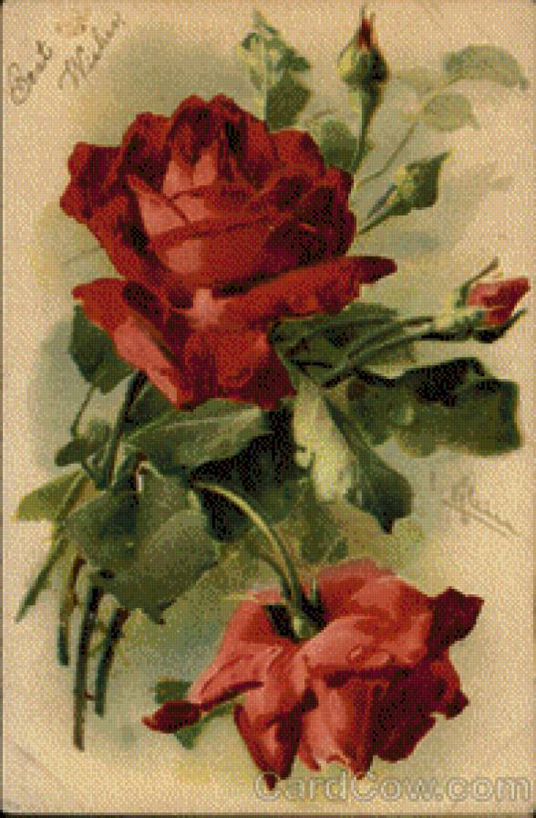 Best Wishes - предпросмотр