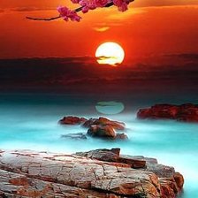 Чудиса природы