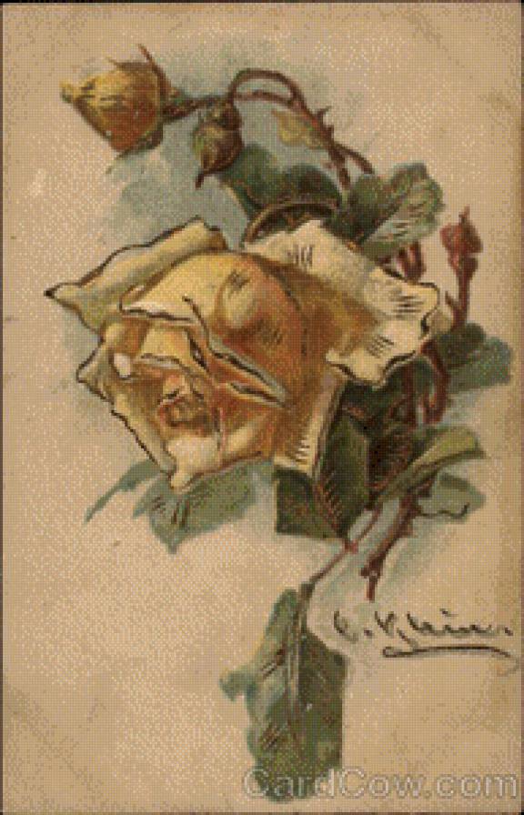 Yellow Rose Cutting - предпросмотр