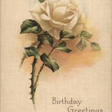 Схема вышивки «One White Rose»