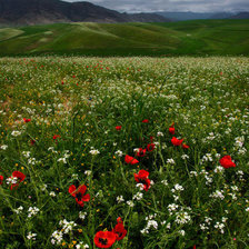 Схема вышивки «Горный пейзаж»