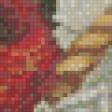 Предпросмотр схемы вышивки «Садовые розы» (№463454)