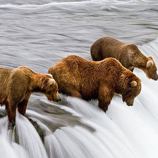 Схема вышивки «№463483»