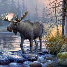 Схема вышивки «лось2-95ц»