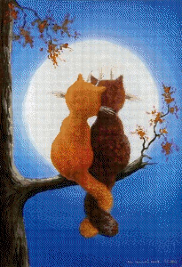 Влюбленные котики - кошки, март, луна, любовь - предпросмотр