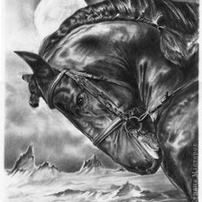 Схема вышивки «Серия "Кони"»