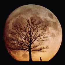 Схема вышивки «Полнолуние»