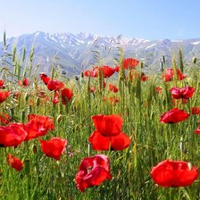 Схема вышивки «Альпы»