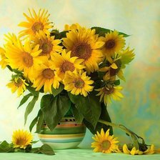 подсолнухи Настроение