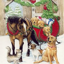 Рождественская 4