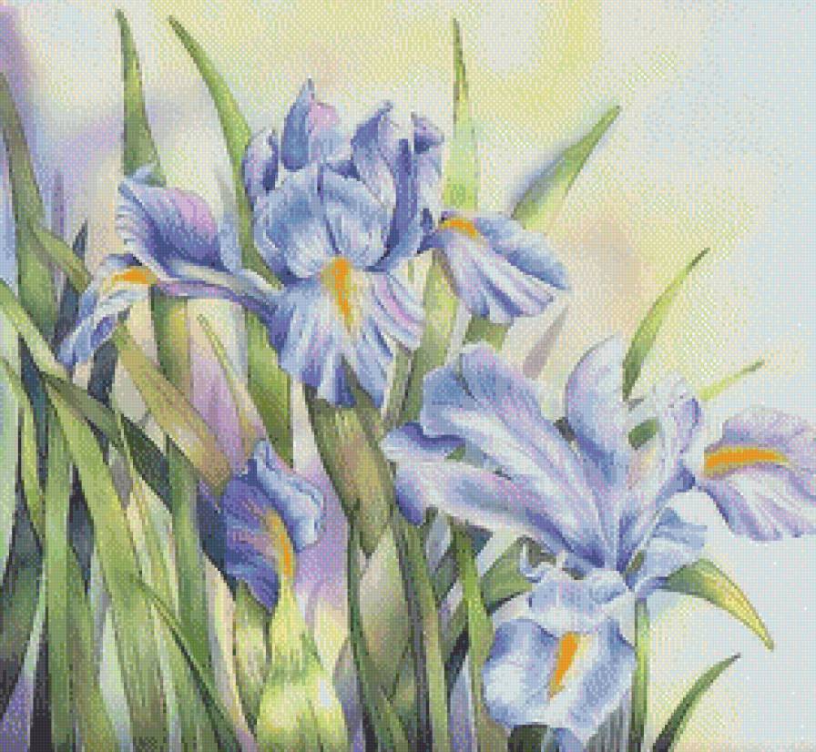 №464052 - предпросмотр