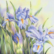 Схема вышивки «№464052»