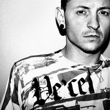 Схема вышивки «Честер»