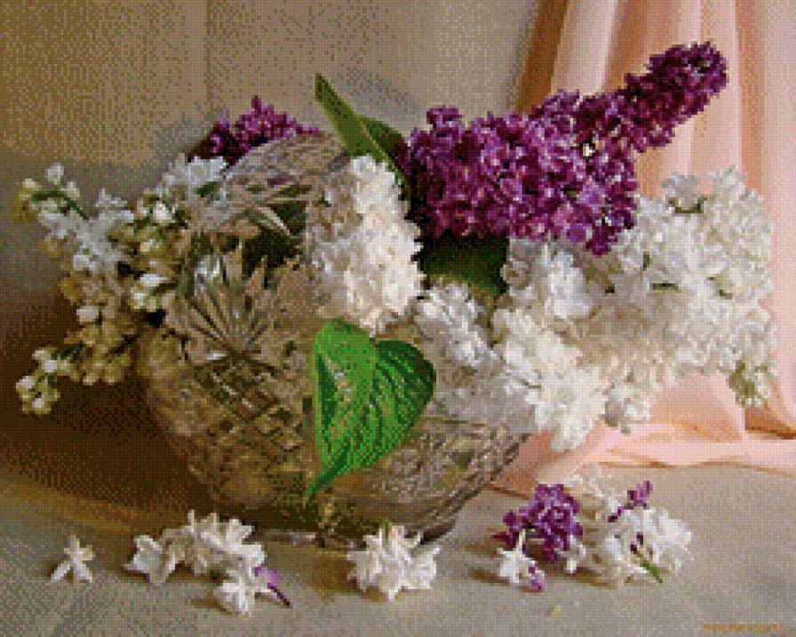 букет сирени - букет, сирень - предпросмотр