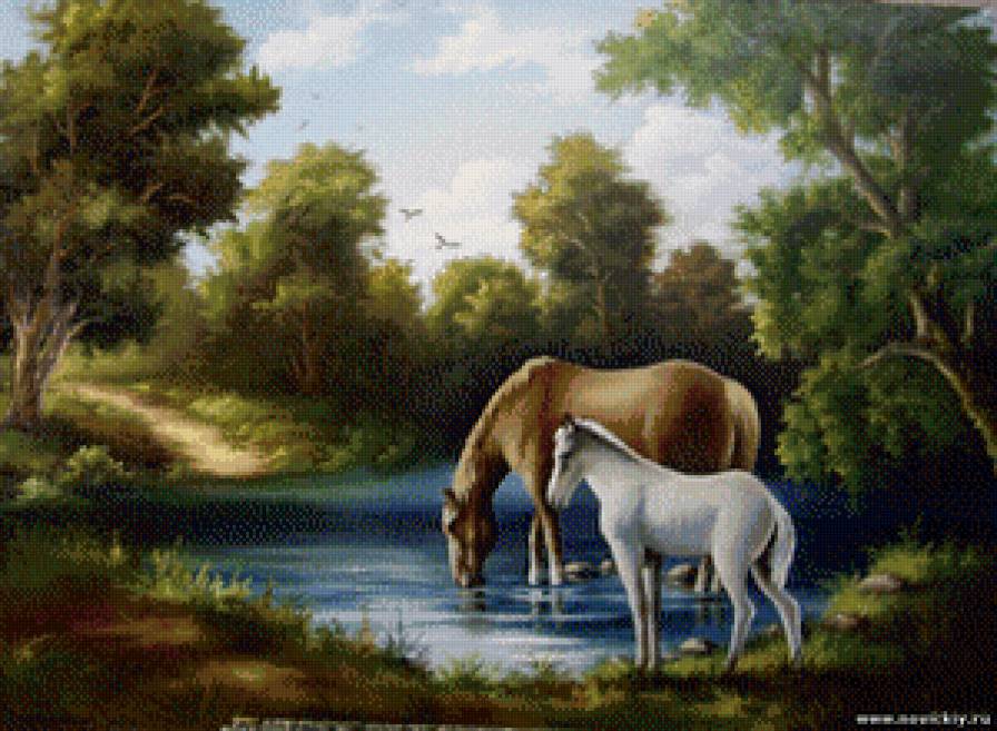 у воды - родные просторы - предпросмотр