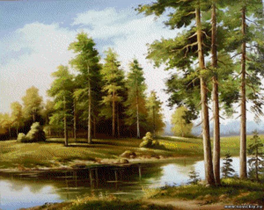 сосновый бор - родные просторы - предпросмотр