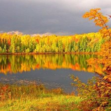 Схема вышивки «осень»