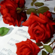 розы