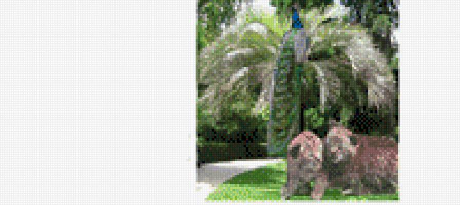 моя схема - предпросмотр