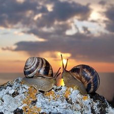 Схема вышивки «улитки»