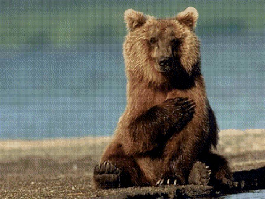 мишка - предпросмотр