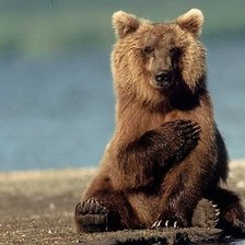 Схема вышивки «мишка»