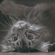 Схема вышивки «мурлика»