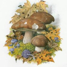 Схема вышивки «Грибочки»