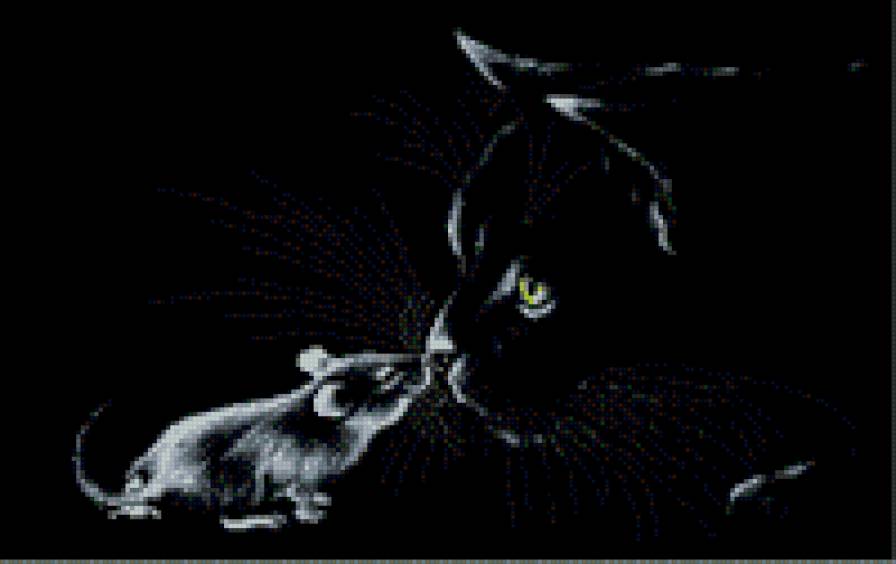 кошка - кошка, мышь, черное-белое - предпросмотр