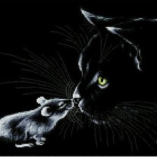 Схема вышивки «кошка»