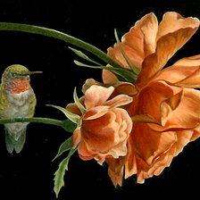 Схема вышивки «колибри и цветы»