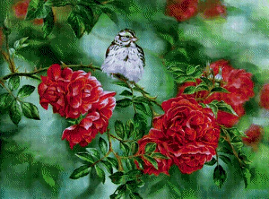птицы и цветы - куст, розы, роза - предпросмотр